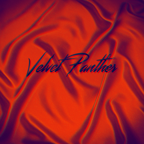 Cover image for Steal from Velvet Panther