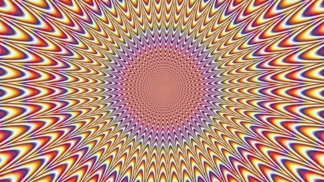 Cover image for Illusion