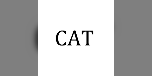 Cover image for CAT