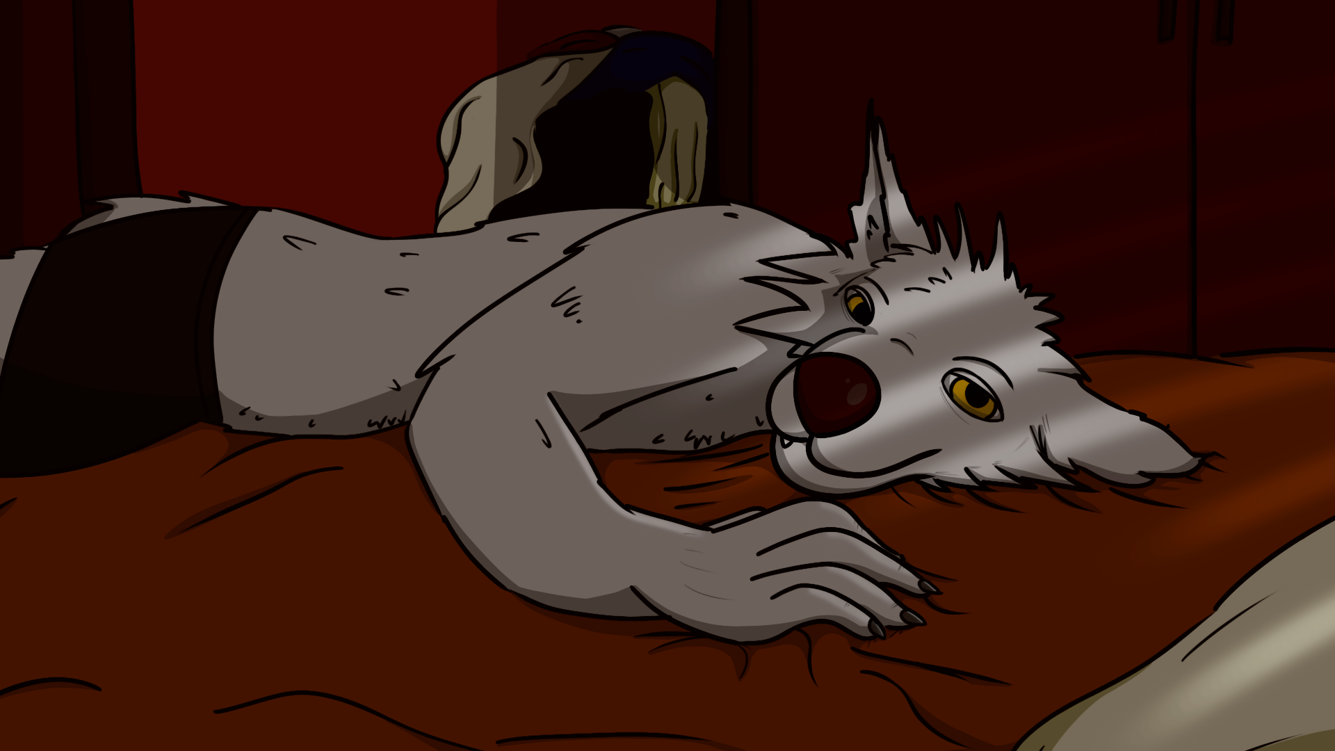 FELICITY screenshot 5