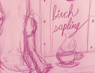 Birch Sapling