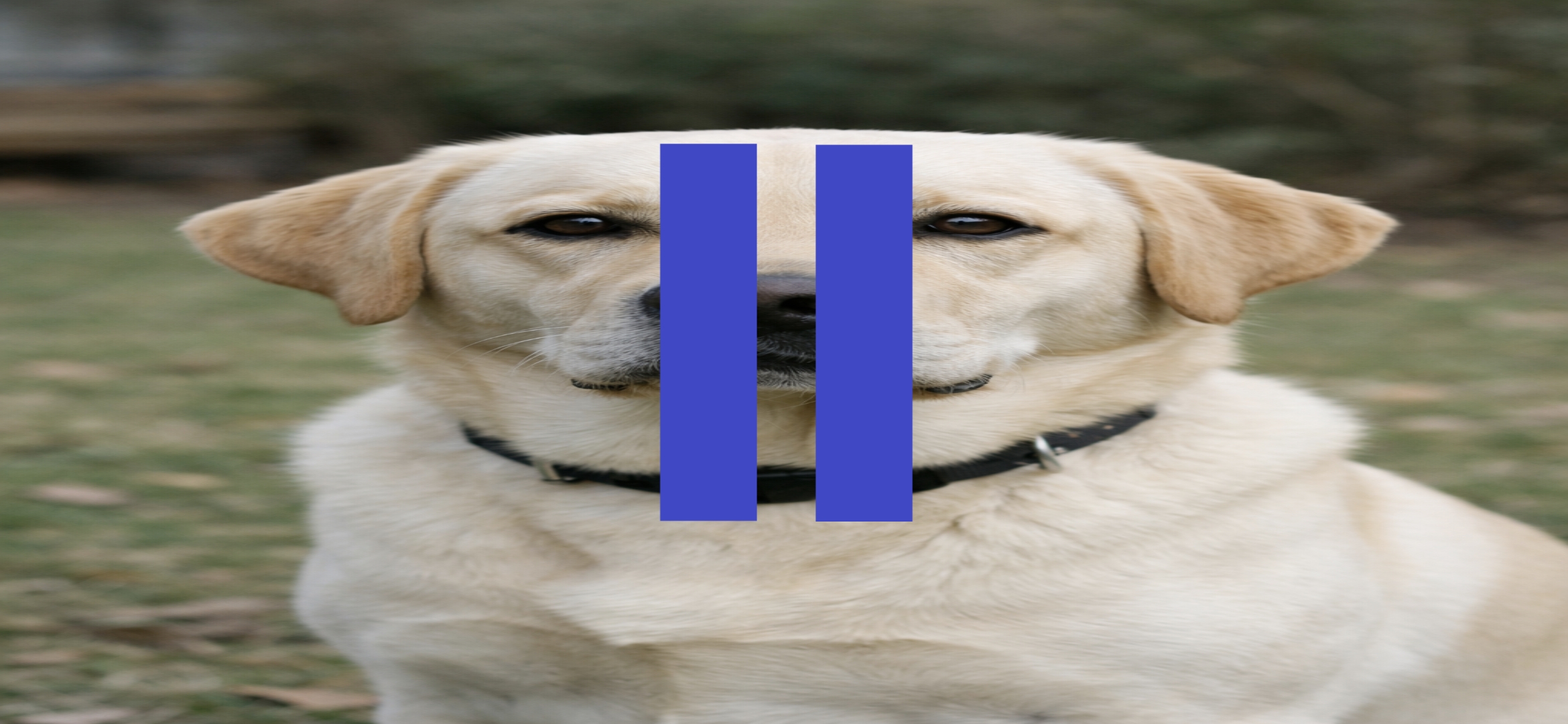 Screenshot 5 for Canis Shieldo™