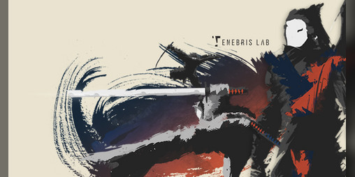 Cover image for Shadow