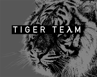 Cover image for Tiger Team