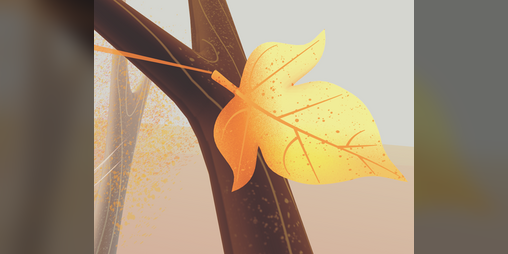 Cover image for The Wanderer