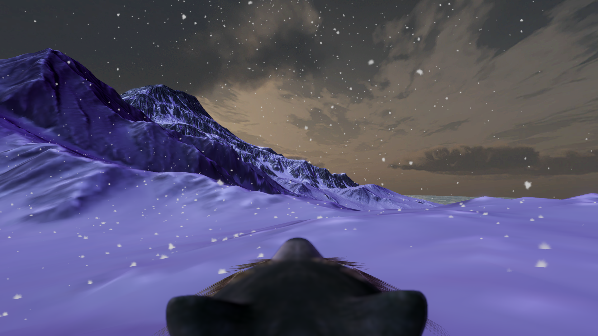 Cover image for Hundvän