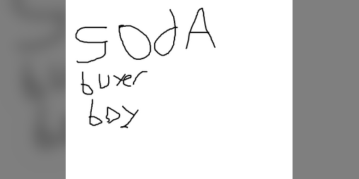Cover image for SodaBuyerBoy