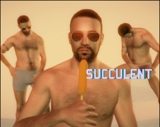 Cover image for Succulent