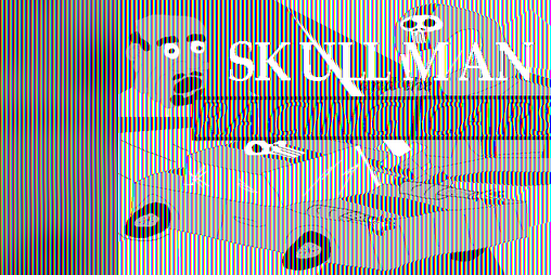 Cover image for SKULL MAN AND THE RACING CARS