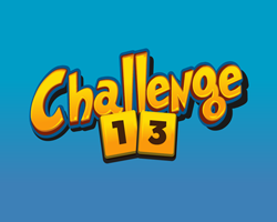 Challenge 13