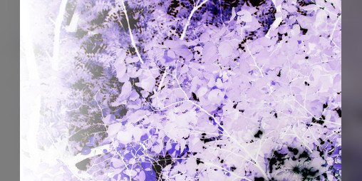 Cover image for two of swords