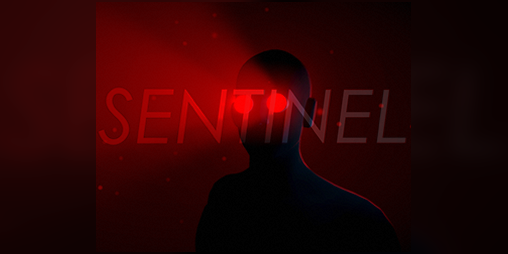 Cover image for Sentinel