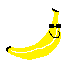 Bananas with Attitude