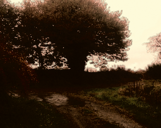 Cover image for The Road to Adventure