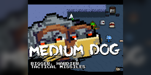 Cover image for Medium Dog