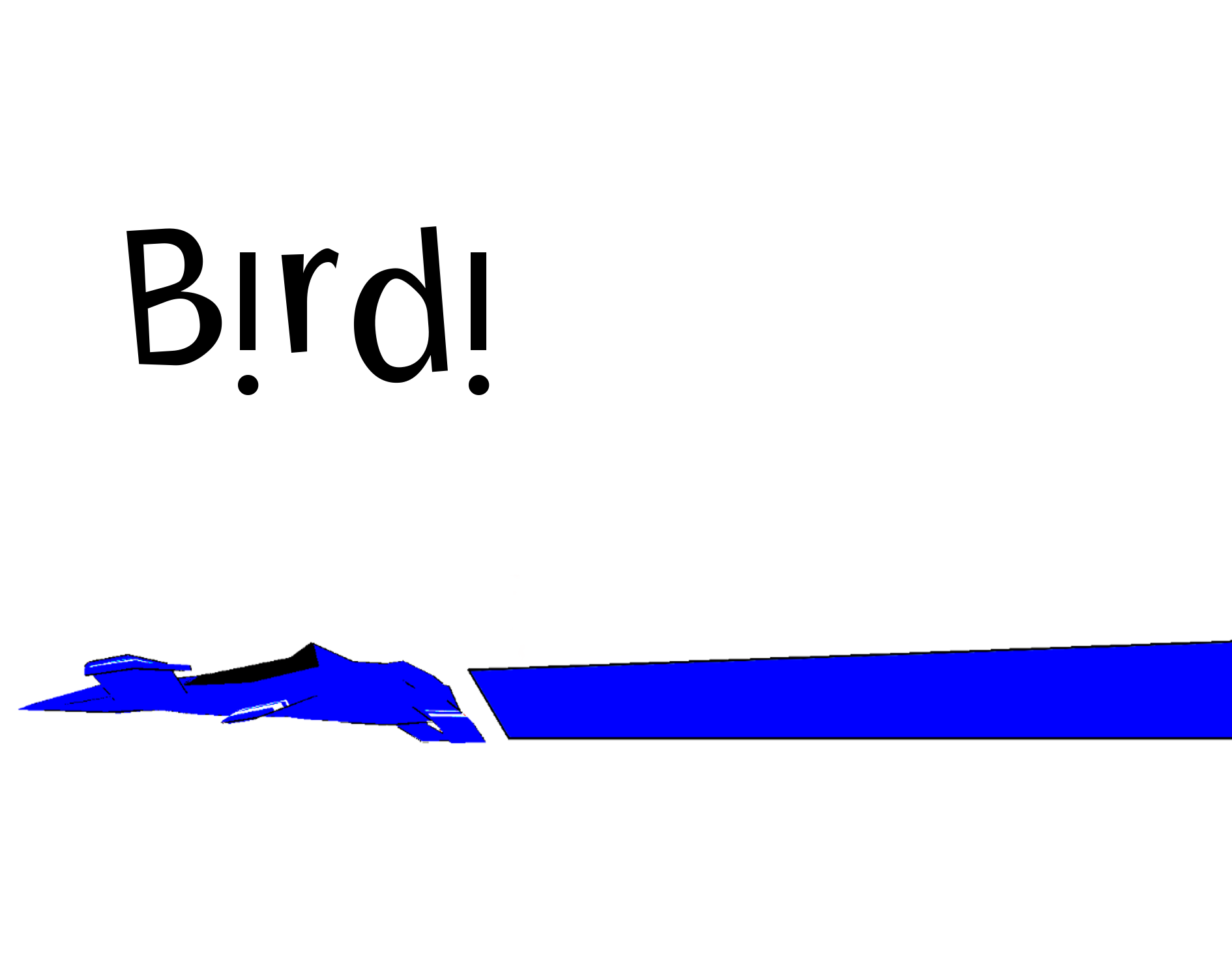 Birdi