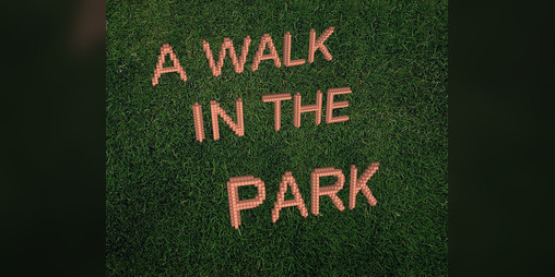Cover image for A Walk In The Park