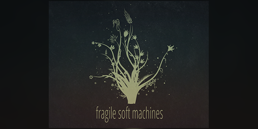 Cover image for Fragile Soft Machines
