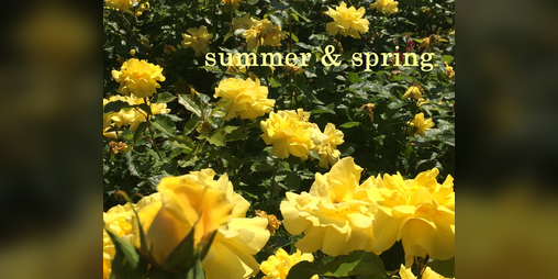 Cover image for summer & spring