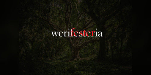 Cover image for Werifesteria