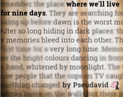 Cover image for Where we'll live for nine days