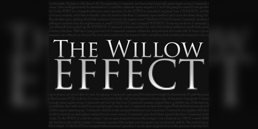 Cover image for The Willow Effect: Prologue
