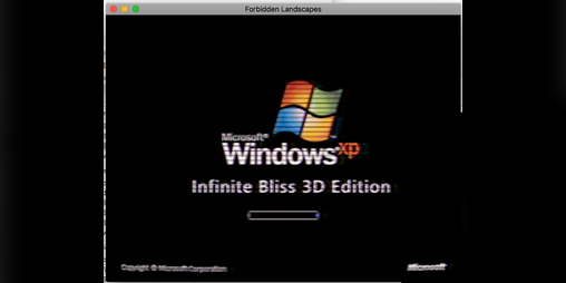 Cover image for Infinite Bliss 3D Edition