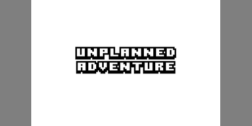 Cover image for Unplanned Adventure