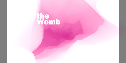 Cover image for The Womb