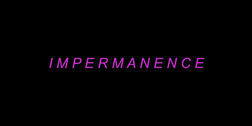 Cover image for Impermanence