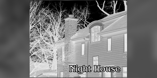 Cover image for Night House