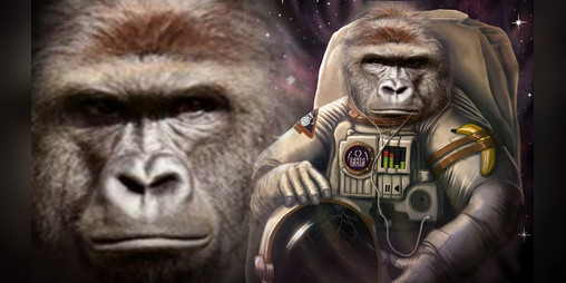 Cover image for Space Gorilla beta