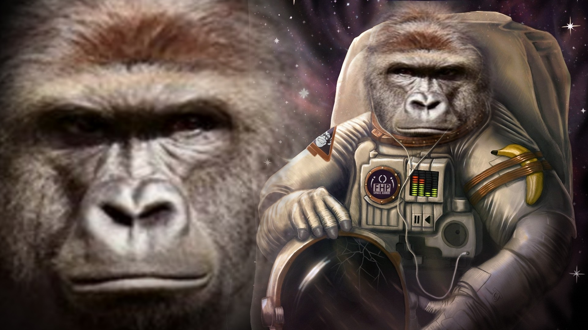 Cover image for Space Gorilla beta