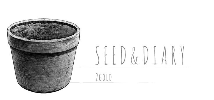 Seed&Diary