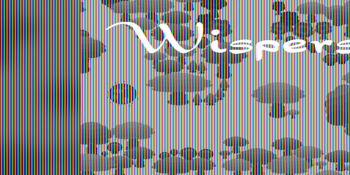 Cover image for Wispers