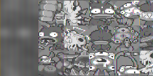 Cover image for Reverse Mutations