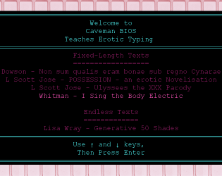 Cover image for Caveman BIOS Teaches Erotic Typing