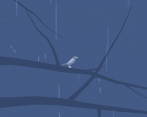 small animation update update v0 1 1 where do birds go small animation update update v0 1 1 where do birds go