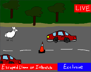 Llama Drama