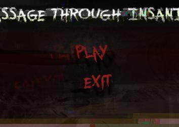 Passage Through Insanity
