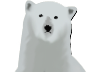 Cover image for Melting Bear