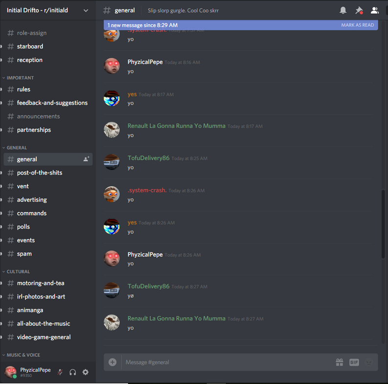 Discord Setup by dannibale
