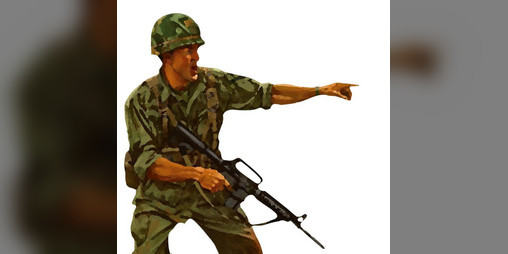 Cover image for Insane bullet
