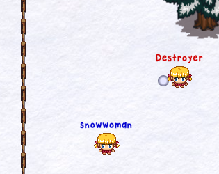 Snowbox