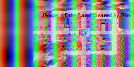 Cover image for Gospel of the Land Cleared by Fire