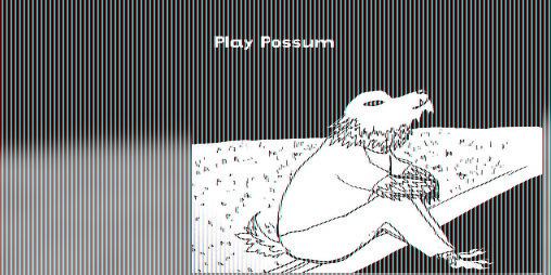 Cover image for Play Possum