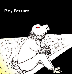 Cover image for Play Possum