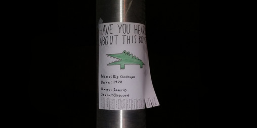 Cover image for Have you heard about this boy?