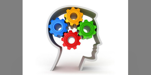 Cover image for Quiz