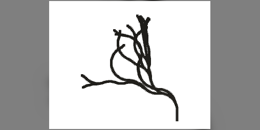 Cover image for Scribble Gen